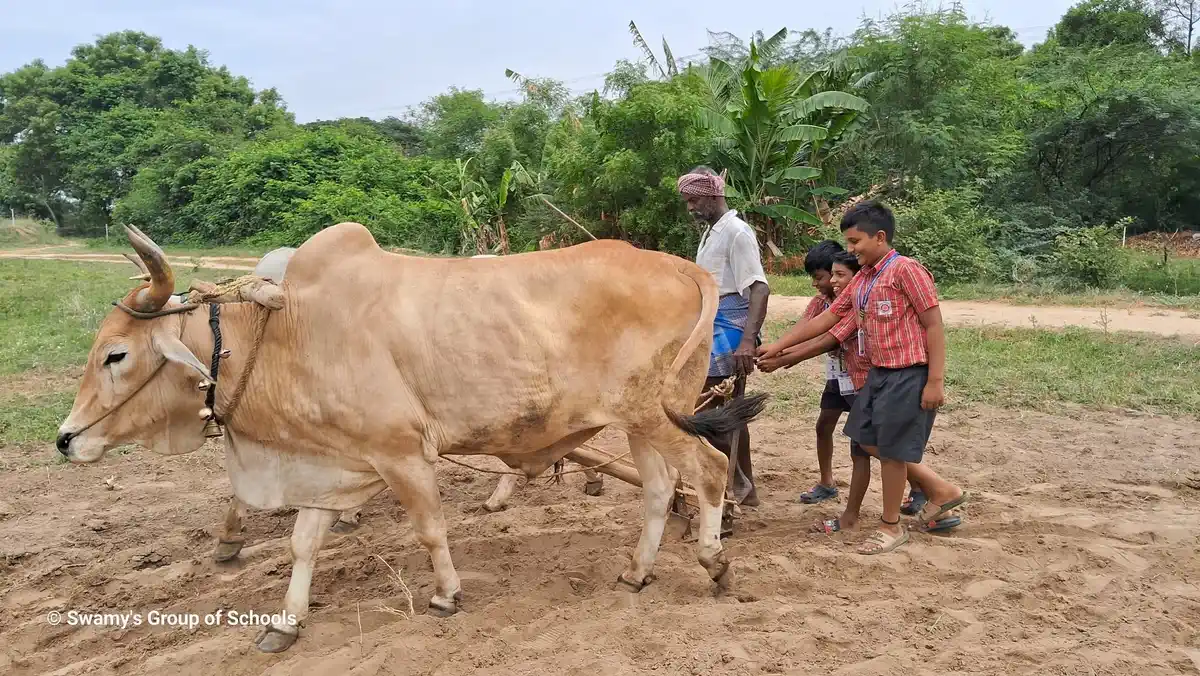Class IV - Field Trip to Farm Guru